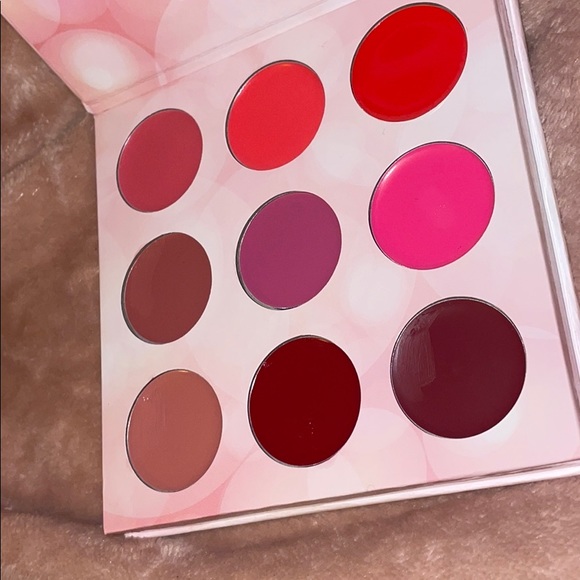 BH Cosmetics Shaaanxo Eyeshadow & Lip Palette - Picture 9 of 11